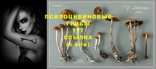 дживик Володарск