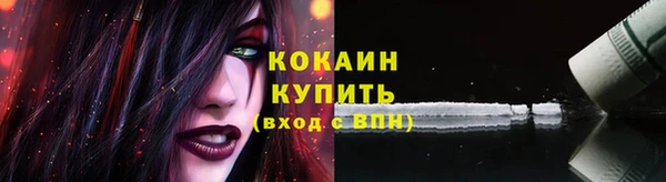 дживик Володарск