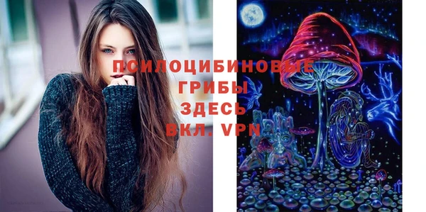 дурь Волоколамск