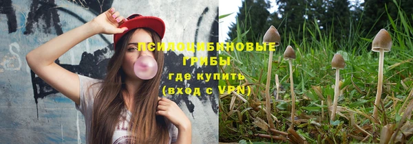 дживик Володарск